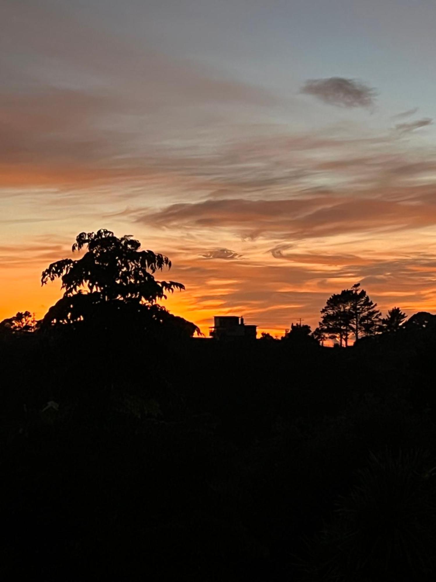 Tutukaka Sunrise Apartment Bagian luar foto